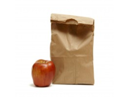 Paper lunch bag